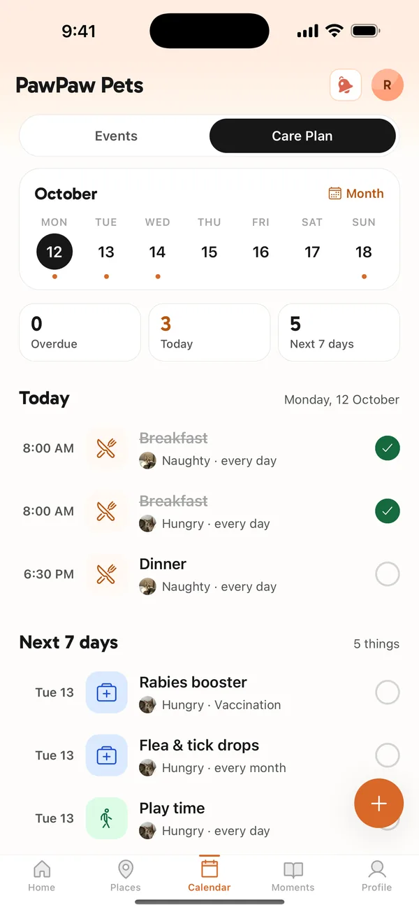 The Care Plan: today's meals and a rabies booster tomorrow