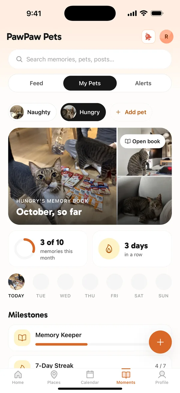Hungry's Memory Book for October