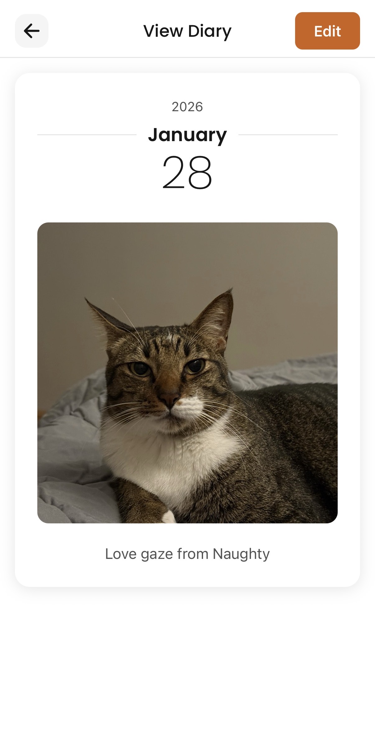 PawPaw Pets Diary - Capture daily memories